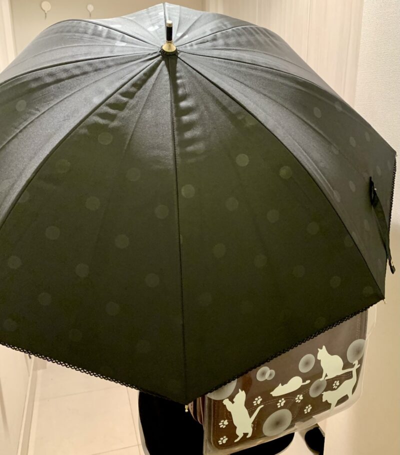 日傘をさしている写真